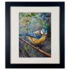 Blue tit